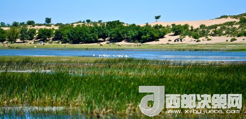 阿魯科爾沁保護區(qū)濕地沙丘。吳勇攝