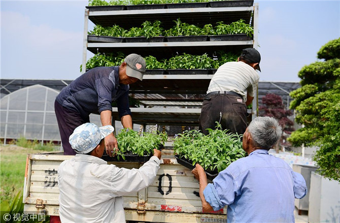 數(shù)字經(jīng)濟已經(jīng)成為我國經(jīng)濟社會更好發(fā)展的重要推動力，也為我國鄉(xiāng)村發(fā)展提供了新的歷史機遇。（圖片來源：視覺中國）