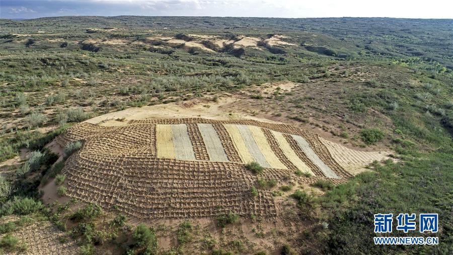 （壯麗70年·奮斗新時(shí)代——共和國(guó)發(fā)展成就巡禮·圖文互動(dòng)）（6）生態(tài)美、百姓富——品讀嶄新“寧夏畫(huà)卷”