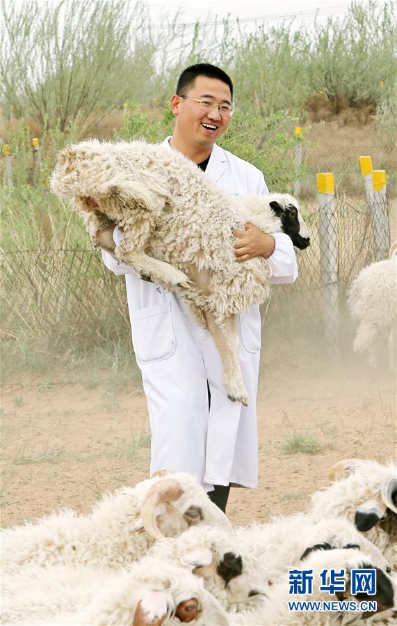 （壯麗70年·奮斗新時(shí)代——共和國(guó)發(fā)展成就巡禮·圖文互動(dòng)）（3）生態(tài)美、百姓富——品讀嶄新“寧夏畫(huà)卷”