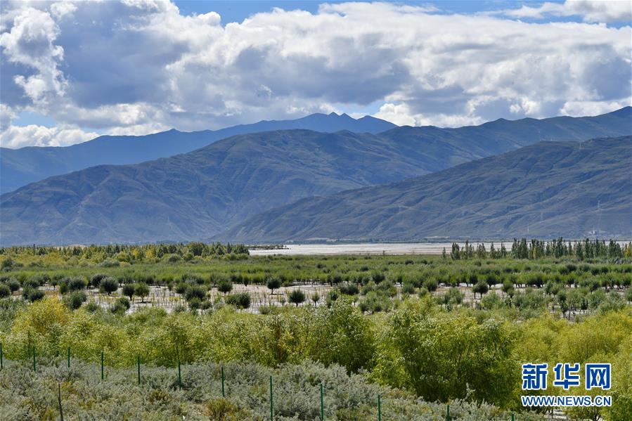 （圖文互動(dòng)）（4）“今天的生活，就像夢(mèng)里夢(mèng)到那樣甜”——寫在西藏百萬農(nóng)奴解放61周年之際