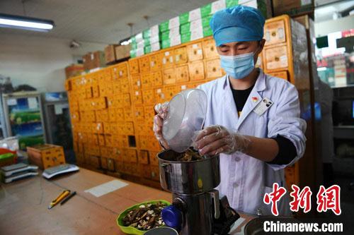 疫情發(fā)生以來，甘肅確保所有病例盡早、及時、全程使用中醫(yī)中藥，努力做到“一患一方案”。(資料圖) 楊艷敏 攝
