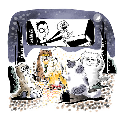 ▲物理學(xué)家薛定諤曾用一只貓比喻量子疊加。圖片來源：視覺中國