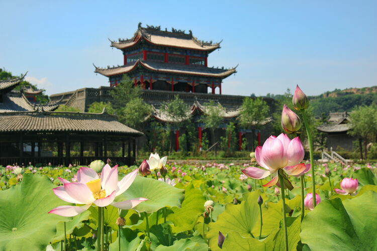 【云游渭南】心中若有桃花源，此處便是水云間！待疫情散盡，一起來渭南桃花源賞美景、觀民俗、享美食_fororder_2